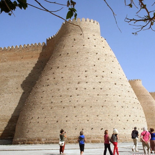 Central Asian Animals And Wildlife