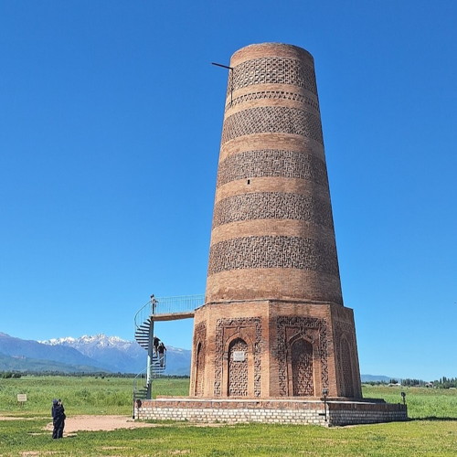 Central Asian Animals And Wildlife