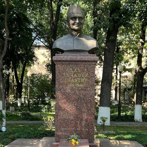 Central Asian Animals And Wildlife