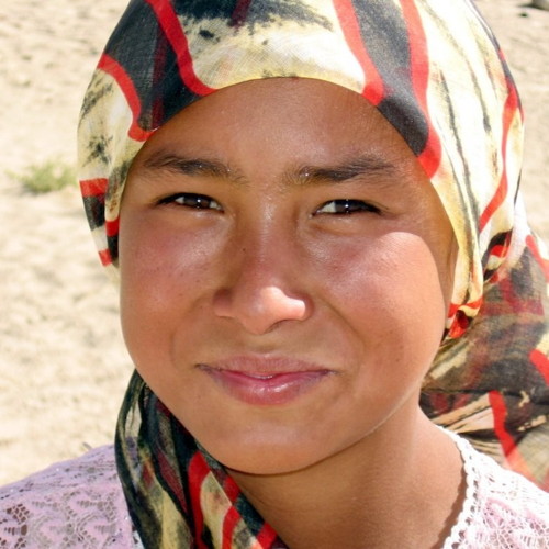 Central Asian Architecture