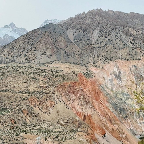 Central Asian Cuisine