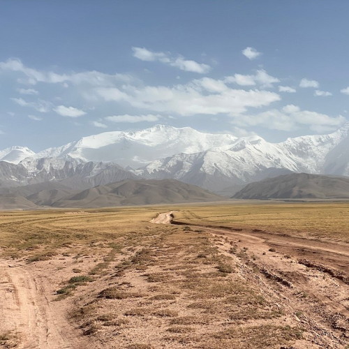 Central Asian Cuisine