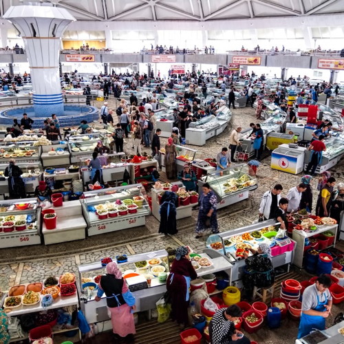 Central Asian Modern Life