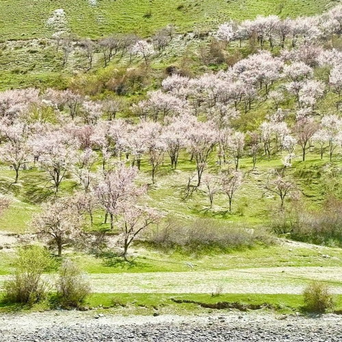 Central Asian People And Culture